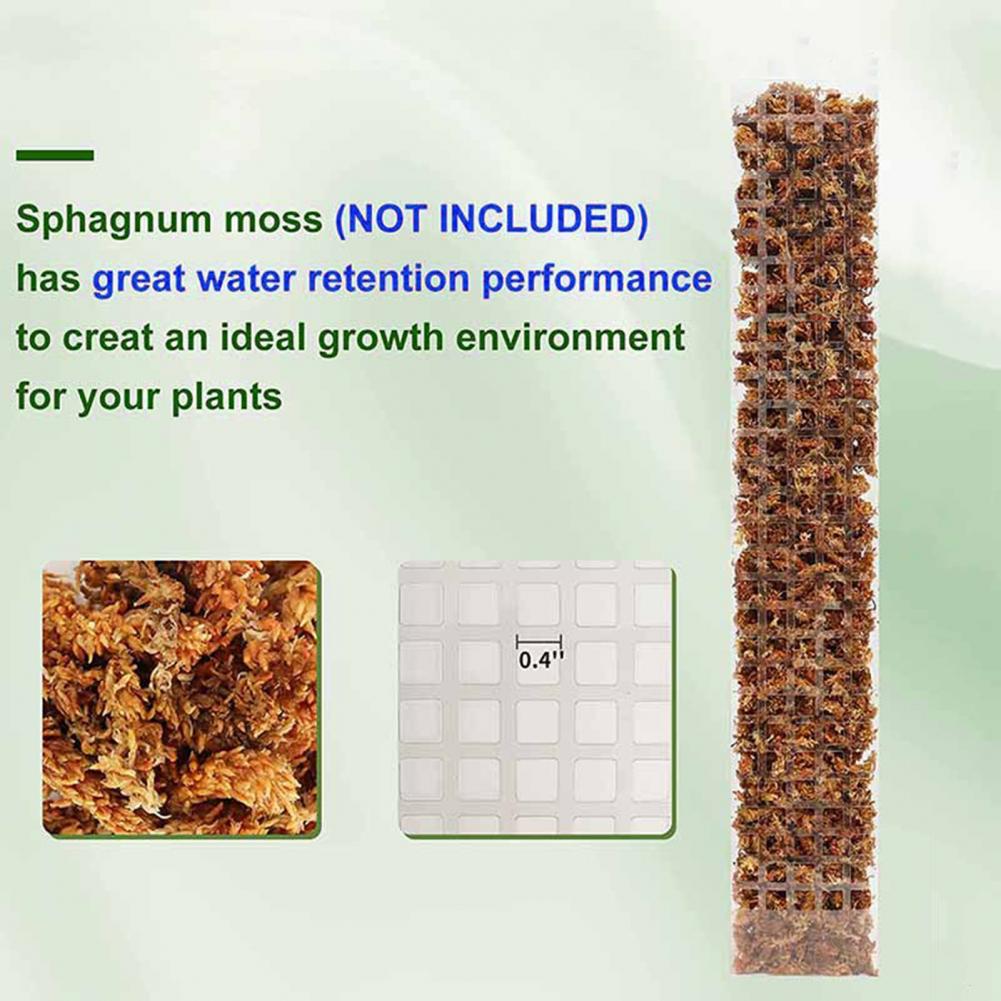 Tırmanıcı Bitkiler için Yosun  - Sphagnum Moss Dry incelemesi ve fiyatı